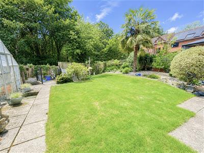 Picture 12
